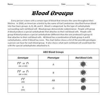 Cracking The Code Unveiling The Answers To Codominance Blood Types