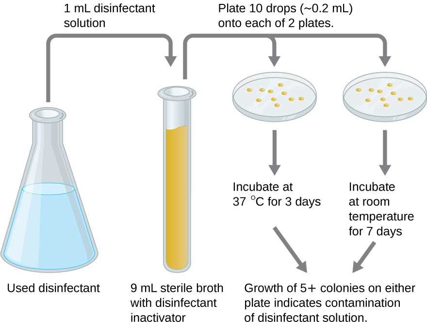 The Importance Of Cosmetic Microbiology Testing Methods And Preservation