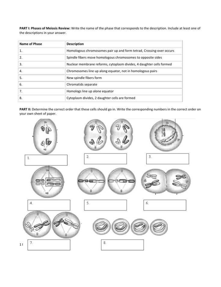 Uncovering The Pogil Membrane Structure Answer Key A Step By Step Guide