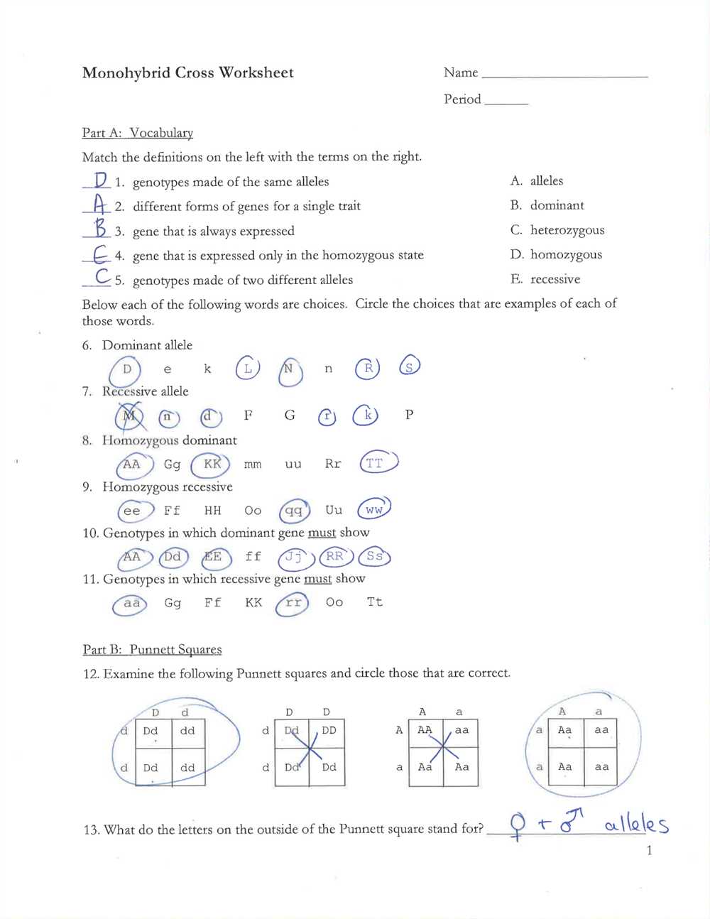 The Ultimate Guide To Monohybrid Punnett Squares Worksheet Answer Key